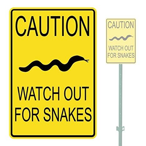 Time to be cautious – Snake season